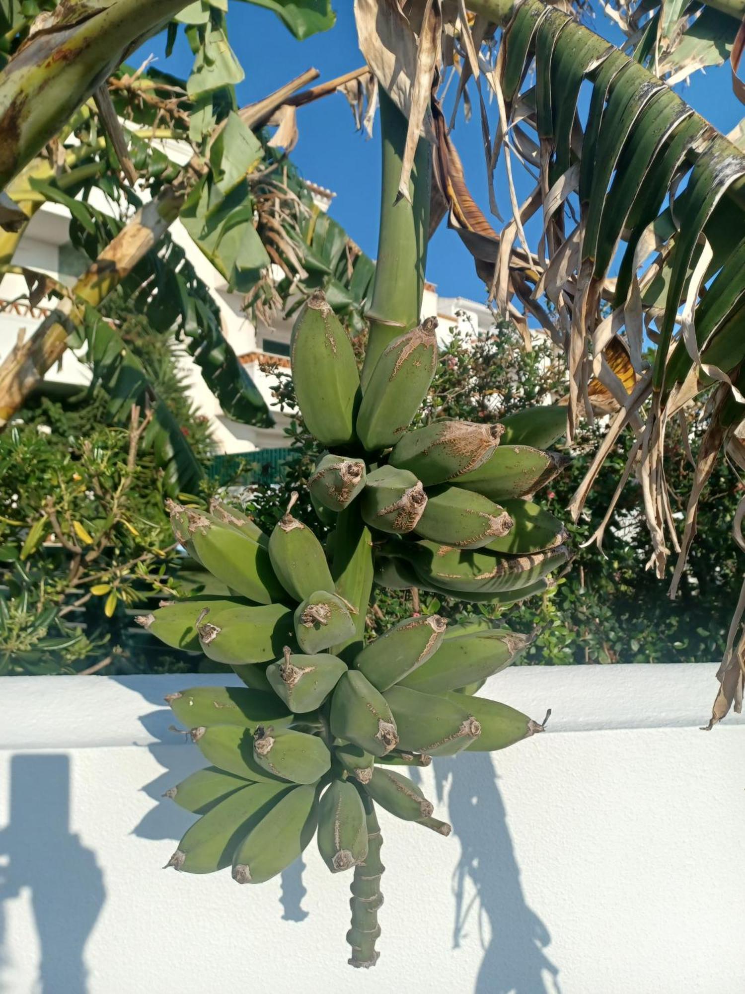 Ericeira Su Villa'S Dış mekan fotoğraf