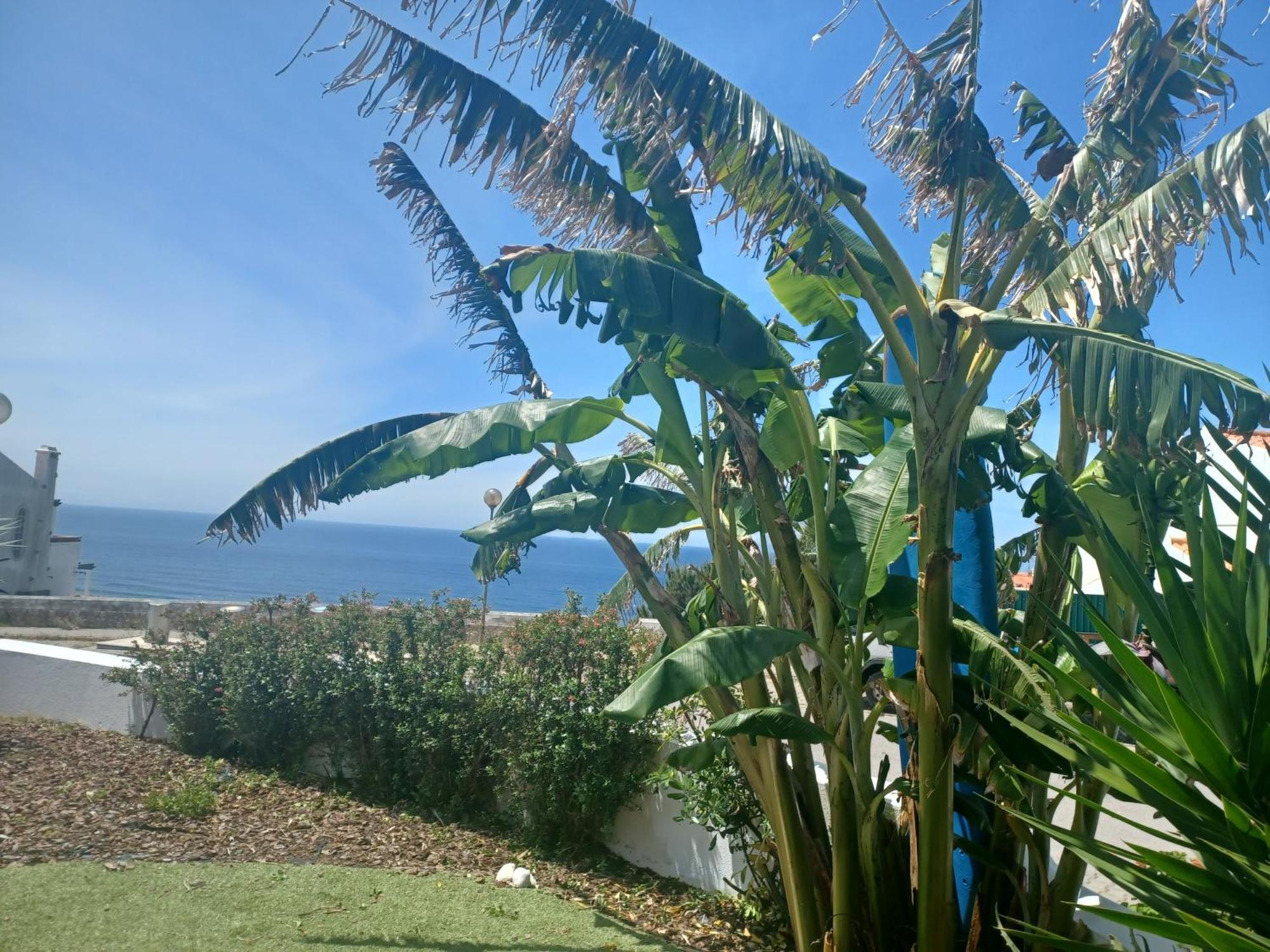 Ericeira Su Villa'S Dış mekan fotoğraf