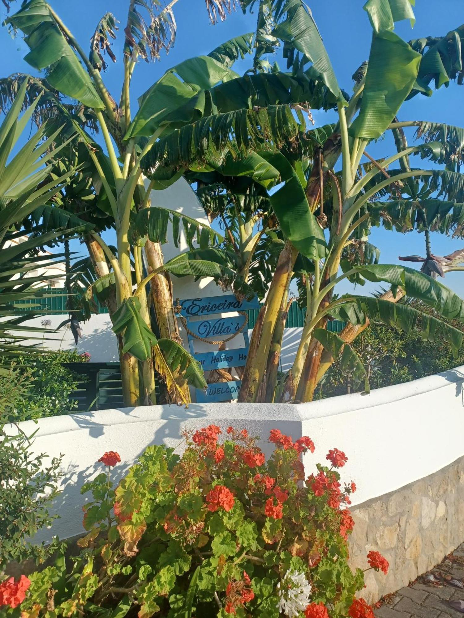 Ericeira Su Villa'S Dış mekan fotoğraf
