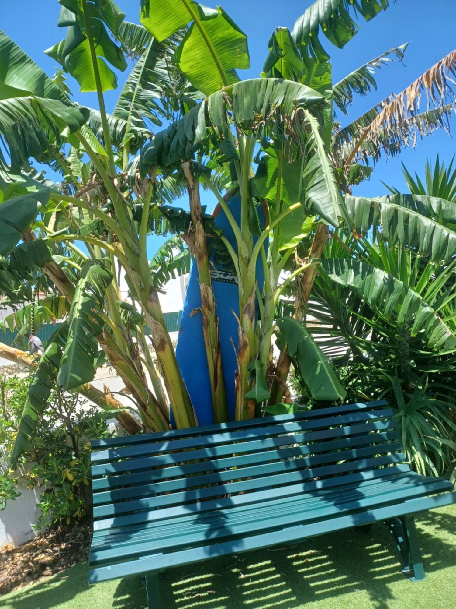 Ericeira Su Villa'S Dış mekan fotoğraf