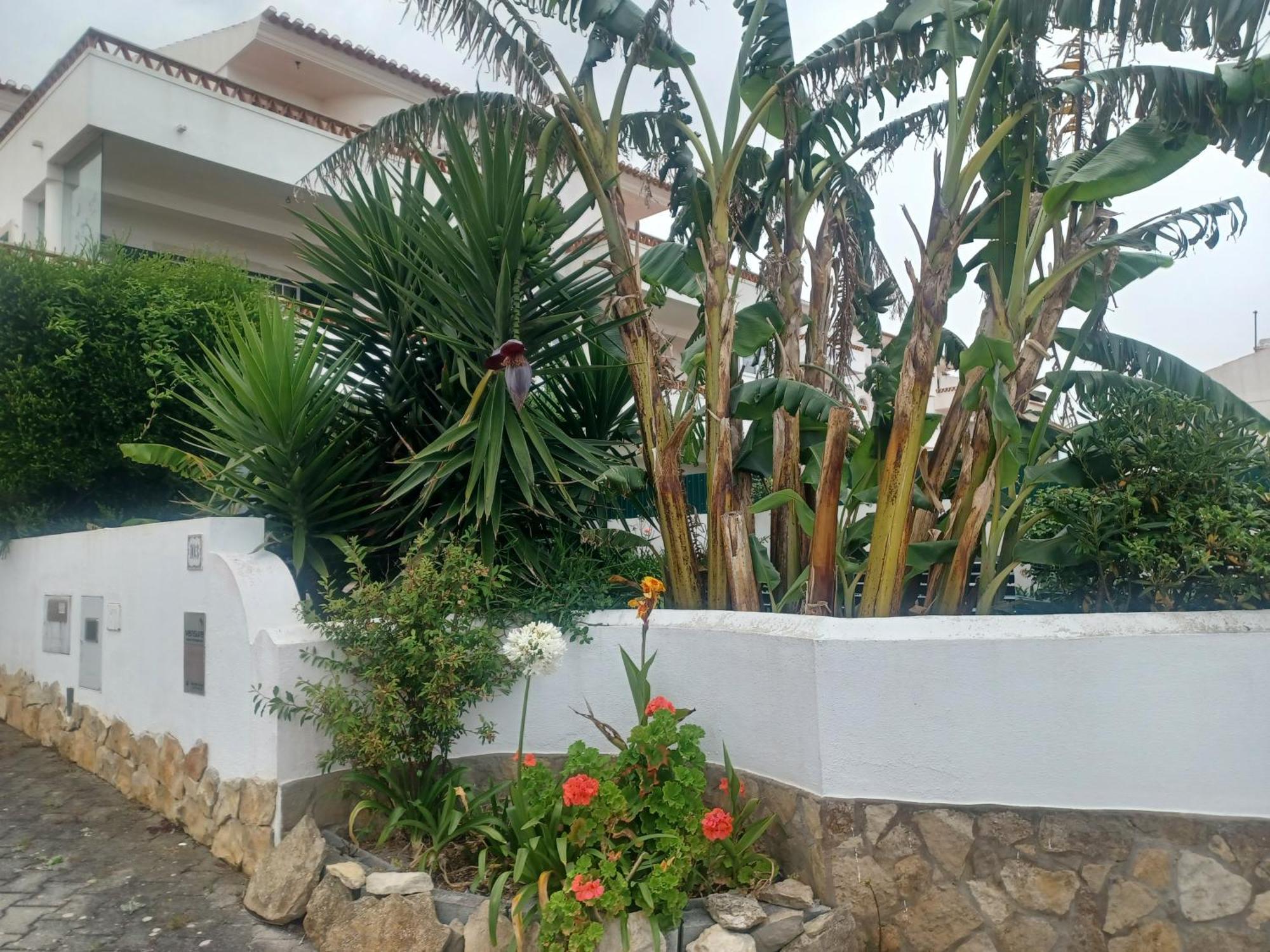 Ericeira Su Villa'S Dış mekan fotoğraf